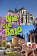 Wie is de Rat in Leuven